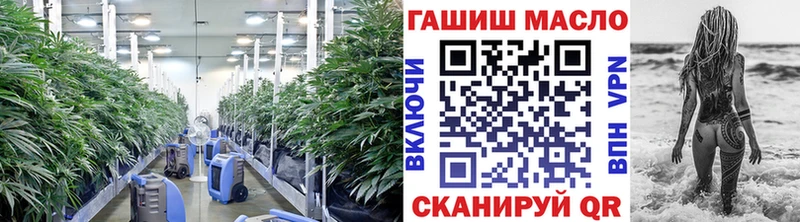 купить закладку  Искитим  darknet официальный сайт  Дистиллят ТГК THC oil 