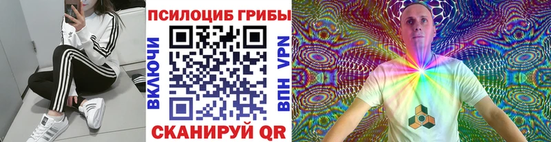 где продают наркотики  Искитим  Псилоцибиновые грибы прущие грибы 