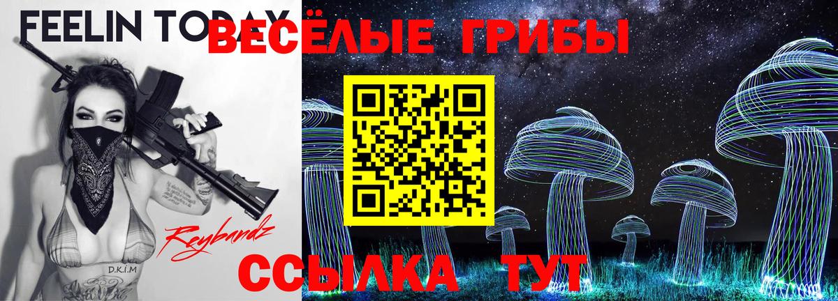 Псилоцибиновые грибы мицелий  Вход с VPN  Галлюциногенные грибы GOLDEN TEACHER  Искитим 